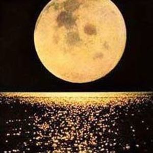 Meet your Posher, Valentina